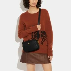 Budget 🔥 Coach Soft Pebble Leather Camera Bag 🤩 -handbags Sales Store unnamed file 646